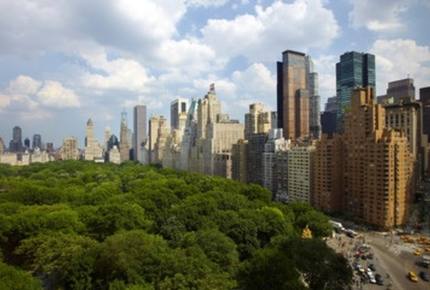 Trump International Hotel and Tower - 1 Bedroom Residence - New York City, New York