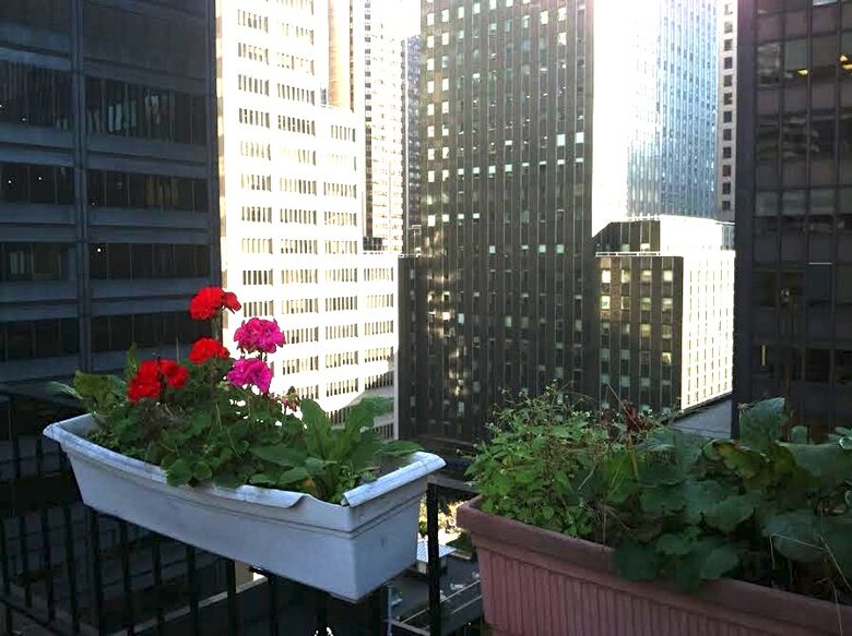 Empire State of Mind Penthouse - New York City, New York