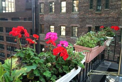 Empire State of Mind Penthouse - New York City, New York