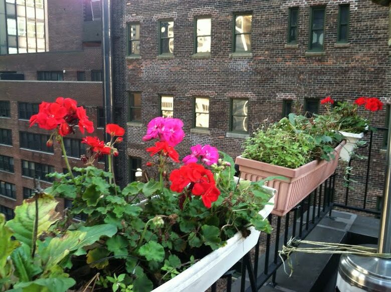 Empire State of Mind Penthouse - New York City, New York