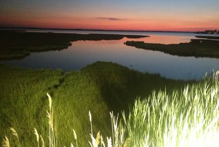 Bear Trap Dunes - Ocean View, Delaware