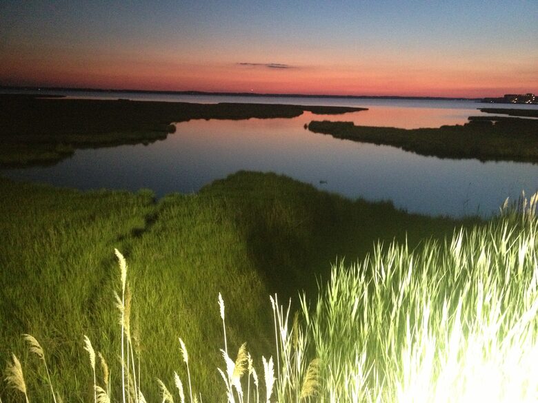 Bear Trap Dunes - Ocean View, Delaware
