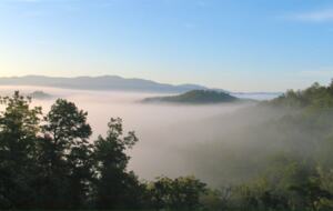 Mystic Forest Nantahala N.C. - Topton, North Carolina