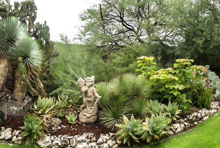 Nirvana Retreat - San Miguel de Allende, Mexico