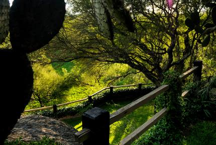 Nirvana Retreat - San Miguel de Allende, Mexico