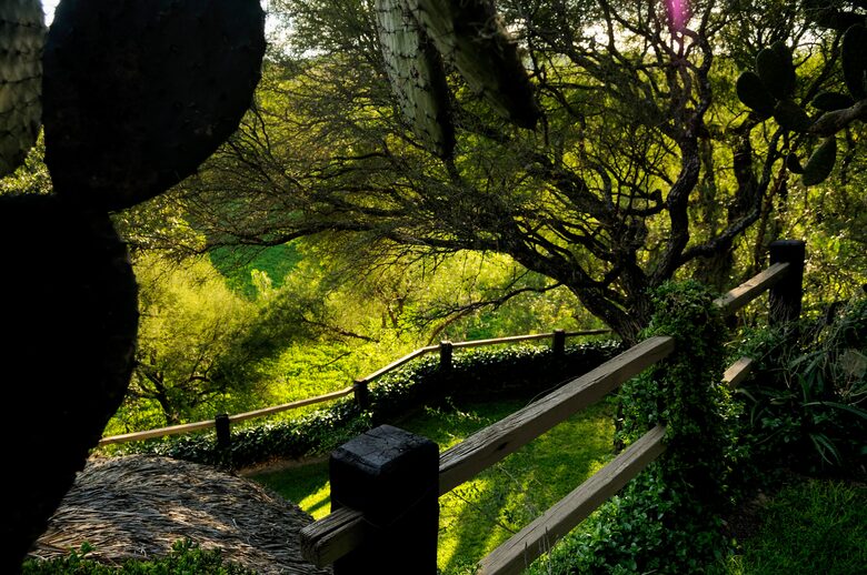 Nirvana Retreat - San Miguel de Allende, Mexico