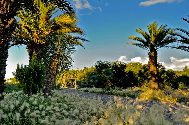 Nirvana Retreat - San Miguel de Allende, Mexico