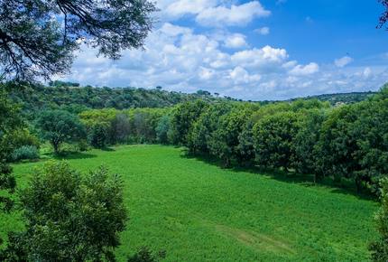Nirvana Retreat - San Miguel de Allende, Mexico