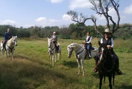 Nirvana Retreat - San Miguel de Allende, Mexico