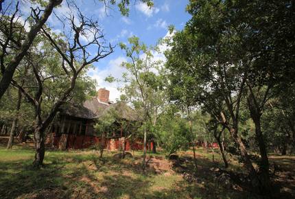 Big Five Game Lodge Tsheshepe - Vaalwater, South Africa