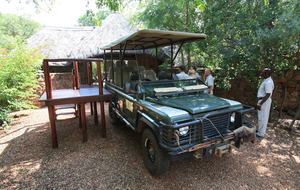 Big Five Game Lodge Tsheshepe - Vaalwater, South Africa