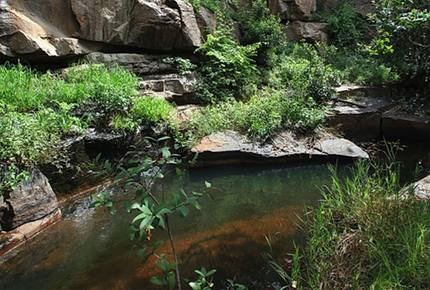 Big Five Game Lodge Tsheshepe - Vaalwater, South Africa