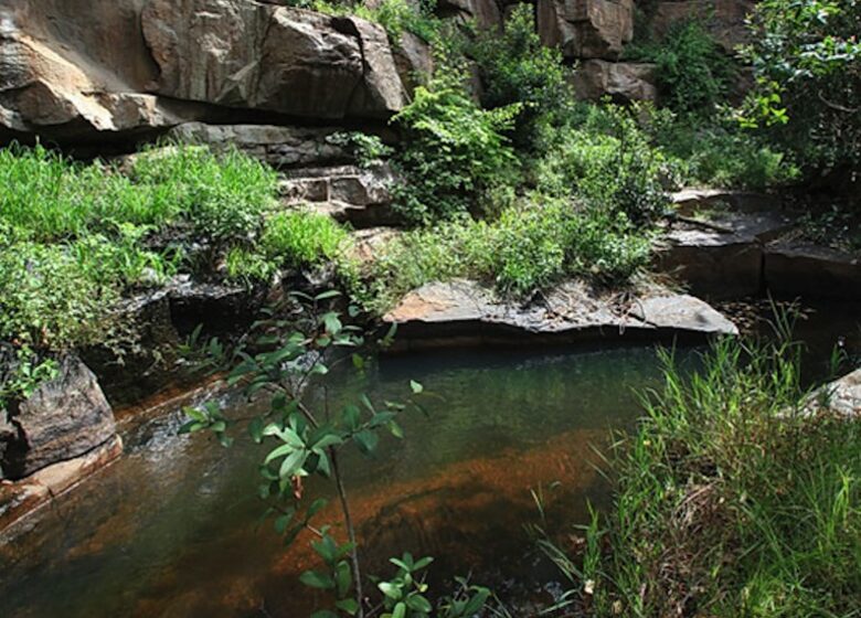 Big Five Game Lodge Tsheshepe - Vaalwater, South Africa