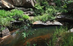 Big Five Game Lodge Tsheshepe - Vaalwater, South Africa