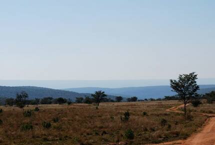 Big Five Game Lodge Tsheshepe - Vaalwater, South Africa