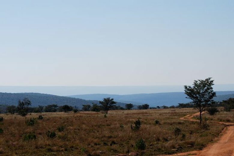 Big Five Game Lodge Tsheshepe - Vaalwater, South Africa