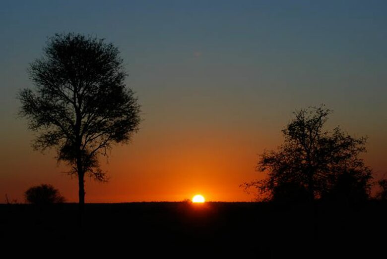 Big Five Game Lodge Tsheshepe - Vaalwater, South Africa
