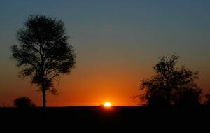 Big Five Game Lodge Tsheshepe - Vaalwater, South Africa
