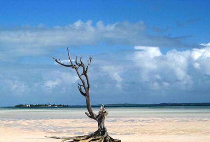 Valentines Residences, Resort & Marina - Harbour Island, Bahamas