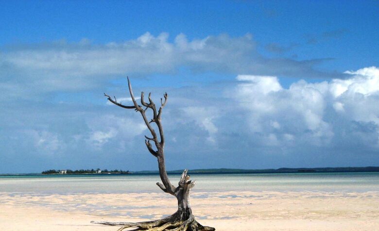 Valentines Residences, Resort & Marina - Harbour Island, Bahamas