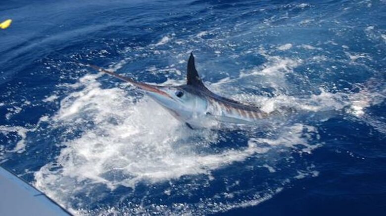 Ancora Private Residence - Yacht Club and Marina - Punta Cana, Dominican Republic