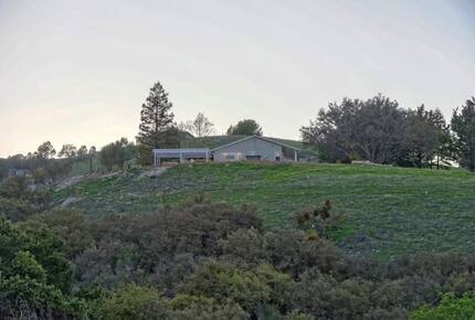 Illumination Ridge: visit Paso Robles in Style! - Paso Robles, California