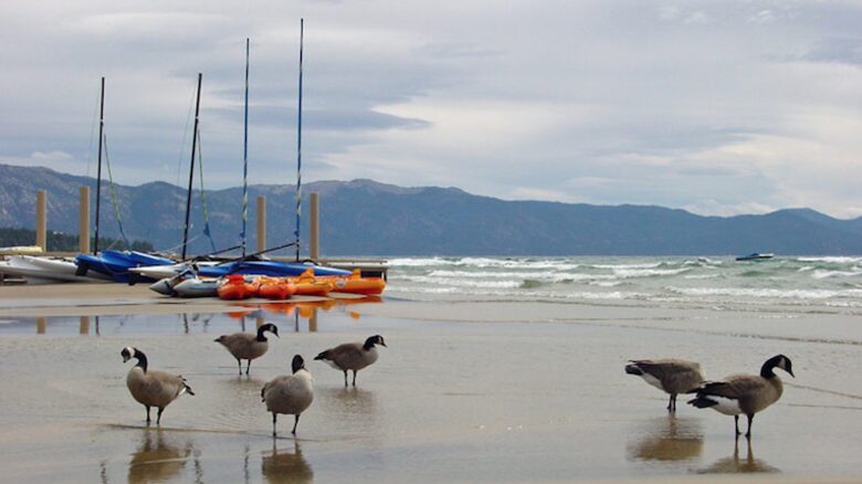 Lake Tahoe Living, Tonopalo – 4 Bedroom Residence - Tahoe Vista, California