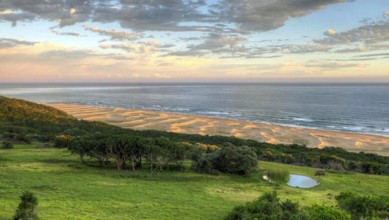 A Suite at The Oceana Beach & Wildlife Reserve - Riet River, South Africa