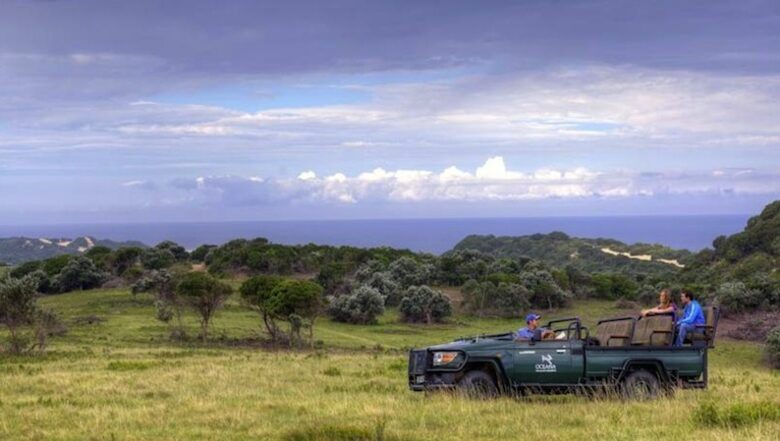 A Suite at The Oceana Beach & Wildlife Reserve - Riet River, South Africa