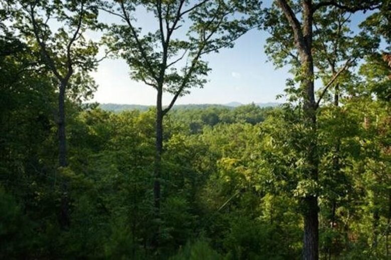 Sky High Sanctuary - Ellijay, Georgia