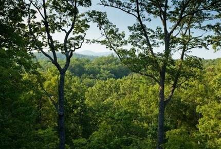 Sky High Sanctuary - Ellijay, Georgia