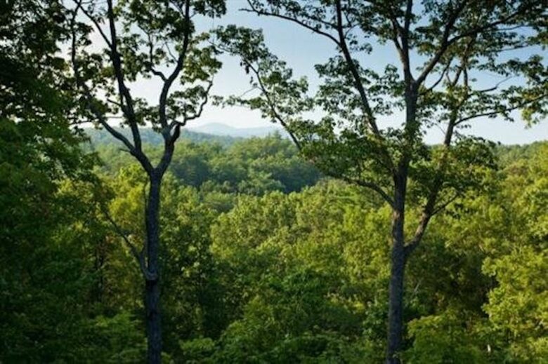 Sky High Sanctuary - Ellijay, Georgia