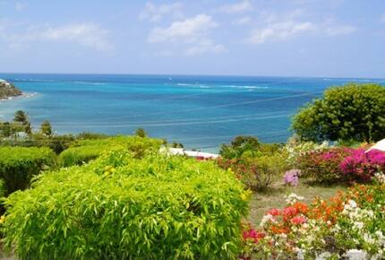 Whispering Palms of St. Croix - Cotton Valley Shores, Virgin Islands, U.S.