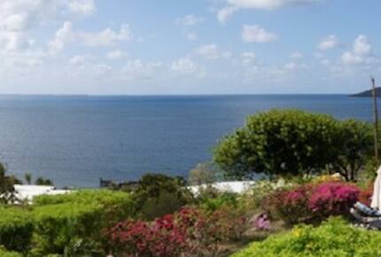Whispering Palms of St. Croix - Cotton Valley Shores, Virgin Islands, U.S.