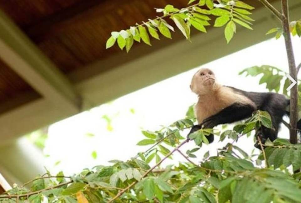 Villa Punto de Vista - Manuel Antonio, Costa Rica