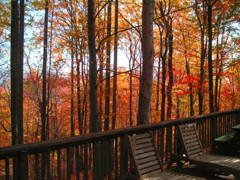 Tall Oaks Lodge, Wintergreen Resort VA - Nellysford, Virginia