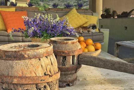 Villa San Miguel - San Miguel de Allende, Mexico