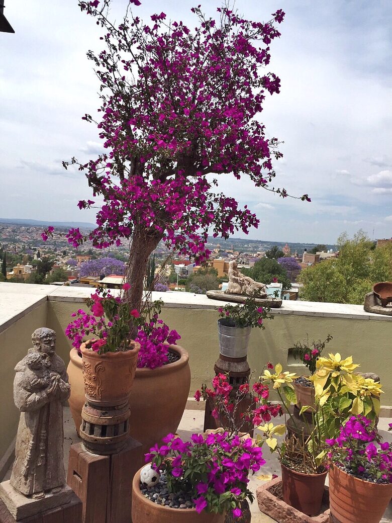 Villa San Miguel - San Miguel de Allende, Mexico