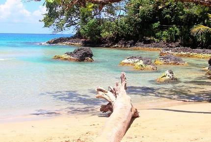 Red Frog Beach - 3 Bedroom Residence - Vista Del Mar, Villa 53 - Bocas del Toro, Panama