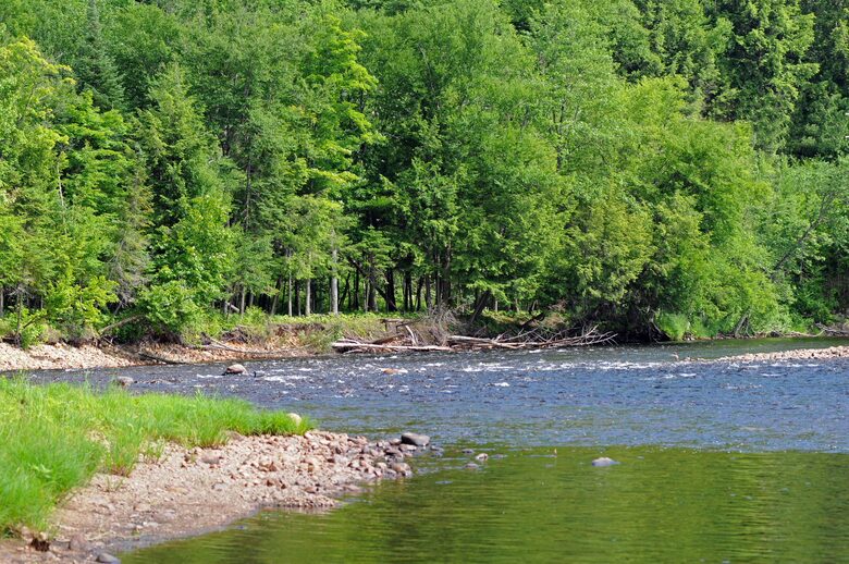 Huge forested riverfront property. 3 minutes to skiing. - Mont Tremblant, Canada
