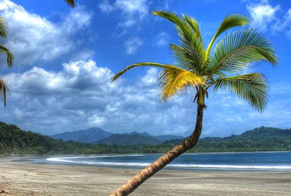 Luxury Ocean View Villa with 5 Star Personalized Service - Playa Samara, Costa Rica