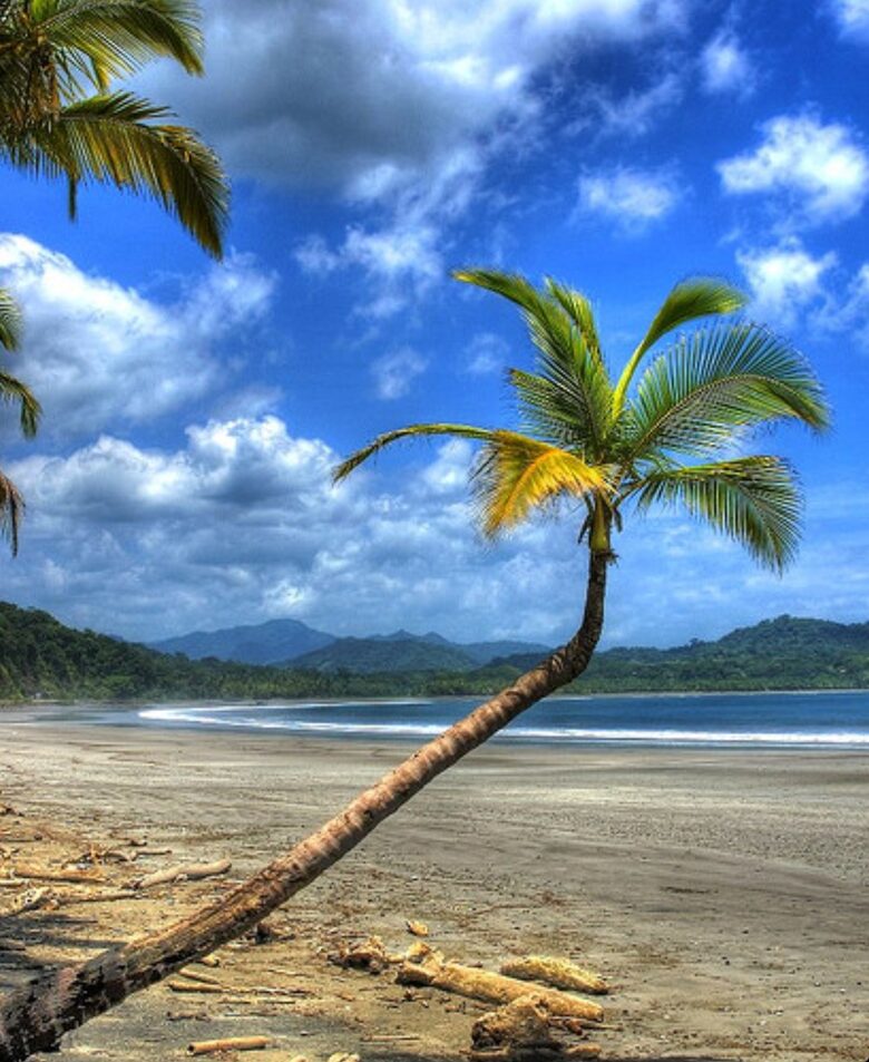 Luxury Ocean View Villa with 5 Star Personalized Service - Playa Samara, Costa Rica