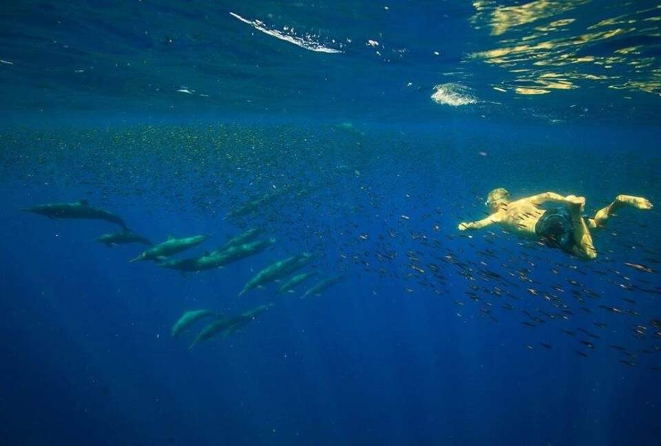 Luxury Ocean View Villa with 5 Star Personalized Service - Playa Samara, Costa Rica