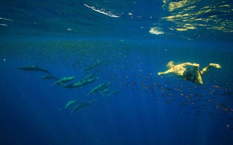 Luxury Ocean View Villa with 5 Star Personalized Service - Playa Samara, Costa Rica