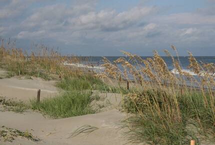 Tree House on Dewees Island - Dewees Island, South Carolina