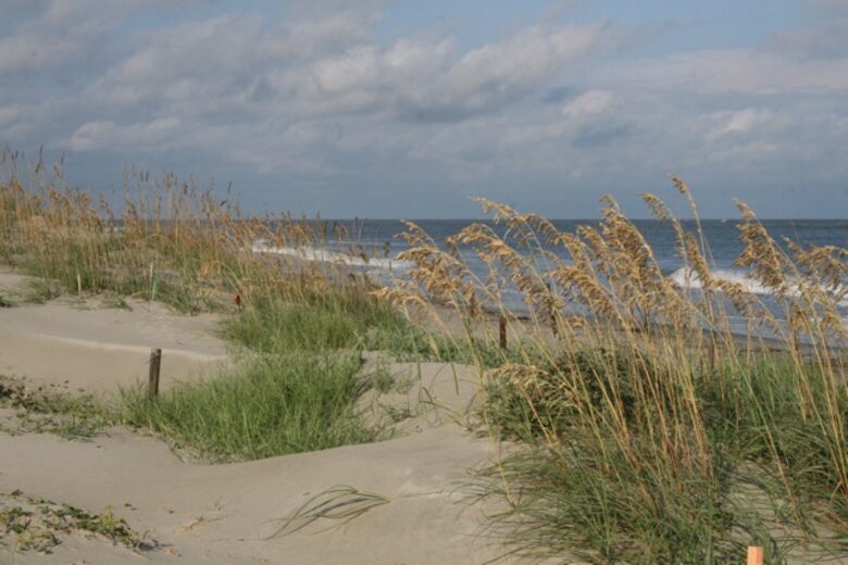 Tree House on Dewees Island - Dewees Island, South Carolina