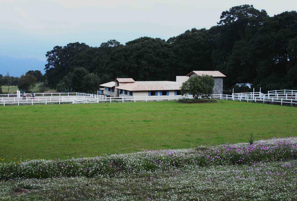 Dream Country Home on Ranch El Tepozan - Canalejas Jilotepec, Mexico