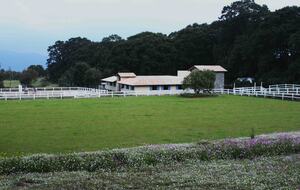 Dream Country Home on Ranch El Tepozan - Canalejas Jilotepec, Mexico
