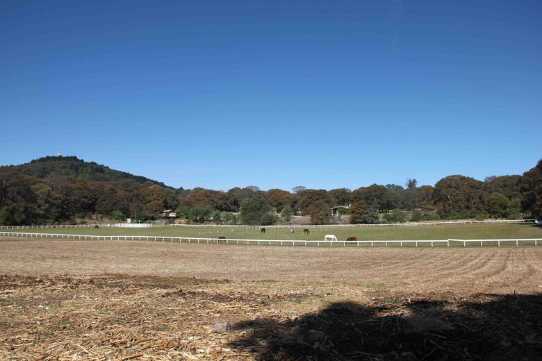 Dream Country Home on Ranch El Tepozan - Canalejas Jilotepec, Mexico