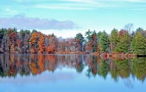 Cape Cod Escape - Orleans, Massachusetts